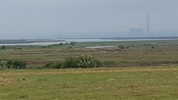 Gun Site